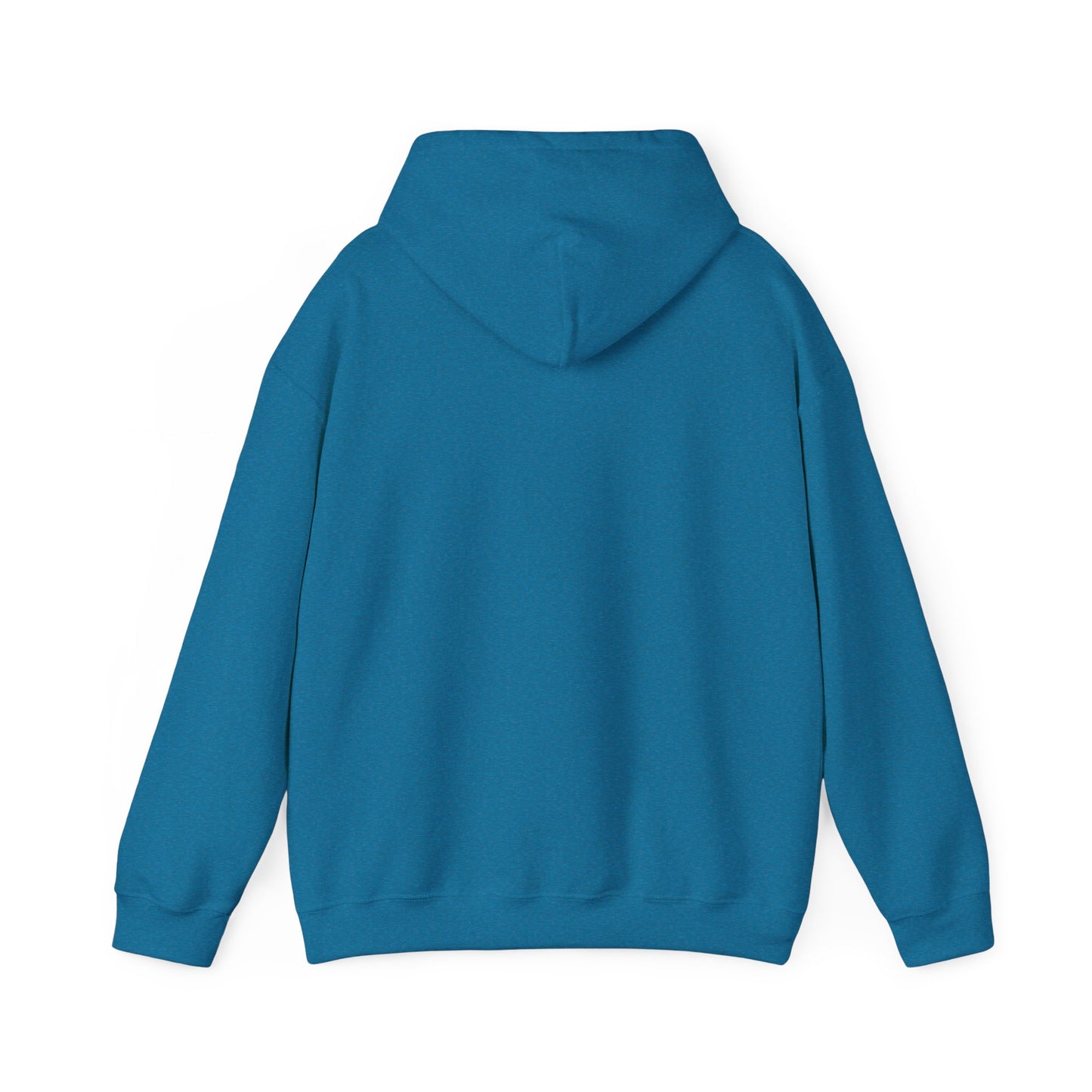 Hooded Sweatshirt - Living Proof Blood Sugar Can Be Controlled Naturally