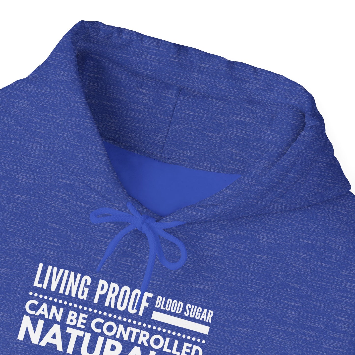 Hooded Sweatshirt - Living Proof Blood Sugar Can Be Controlled Naturally
